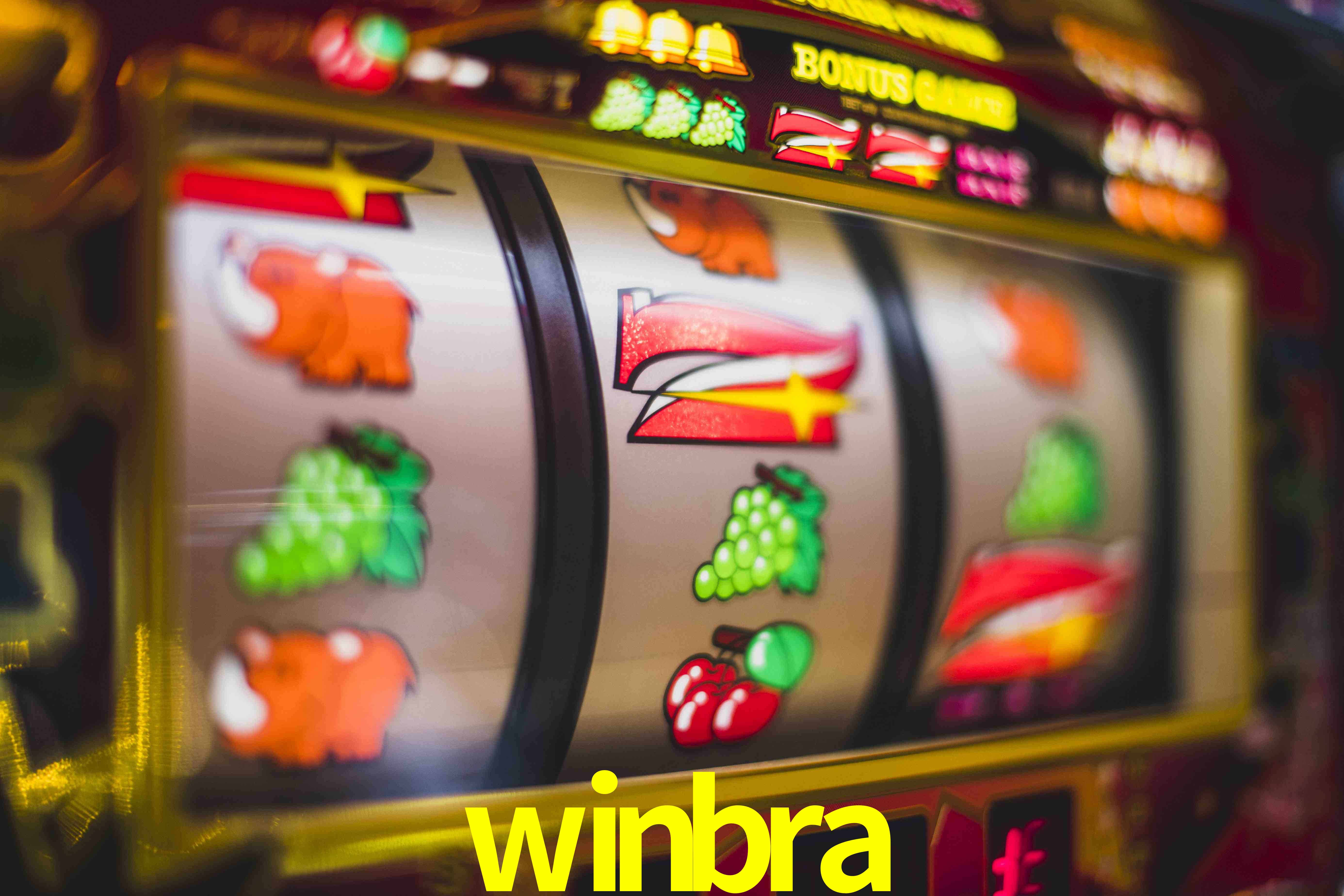Tennis Betting winbra
